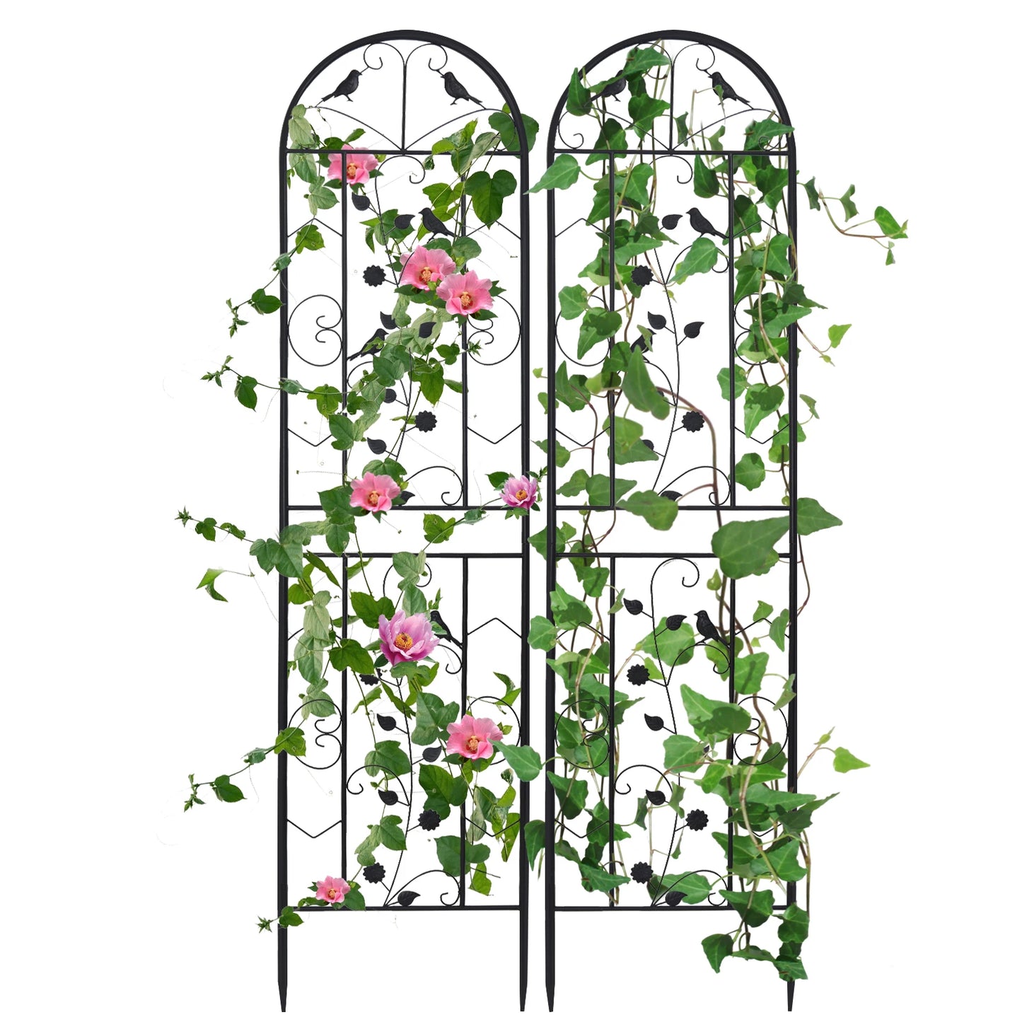 Feature 2 Pack Garden Trellis For Climbing Plants
