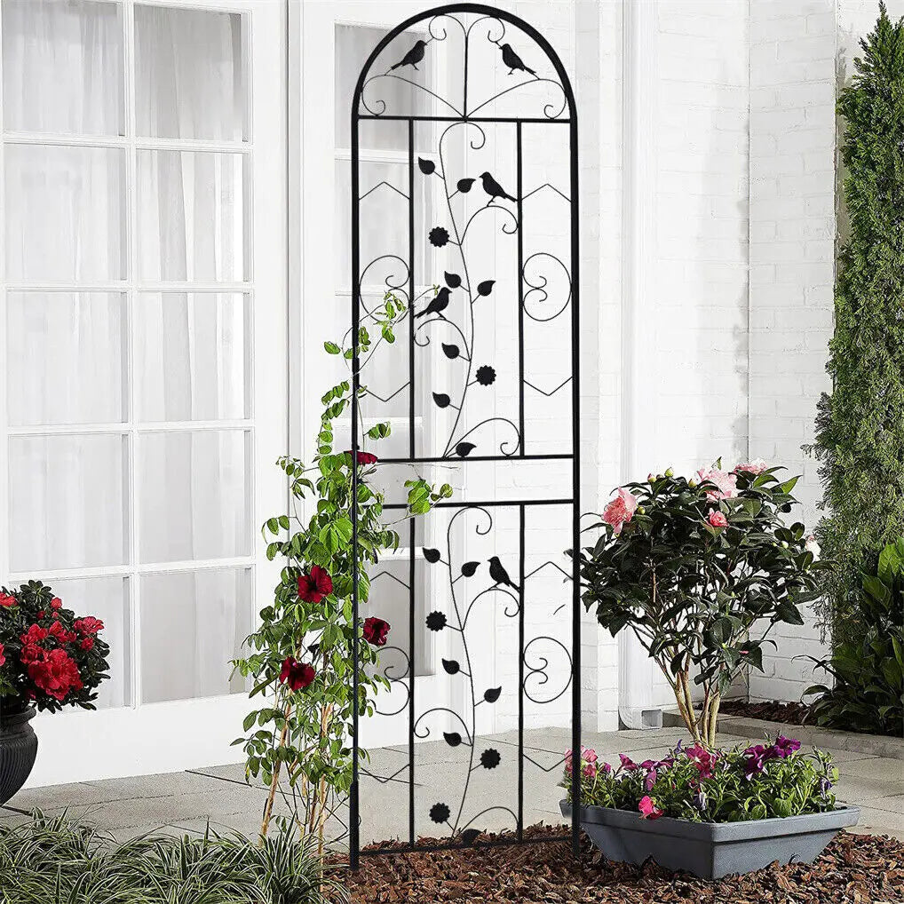 Feature 2 Pack Garden Trellis For Climbing Plants