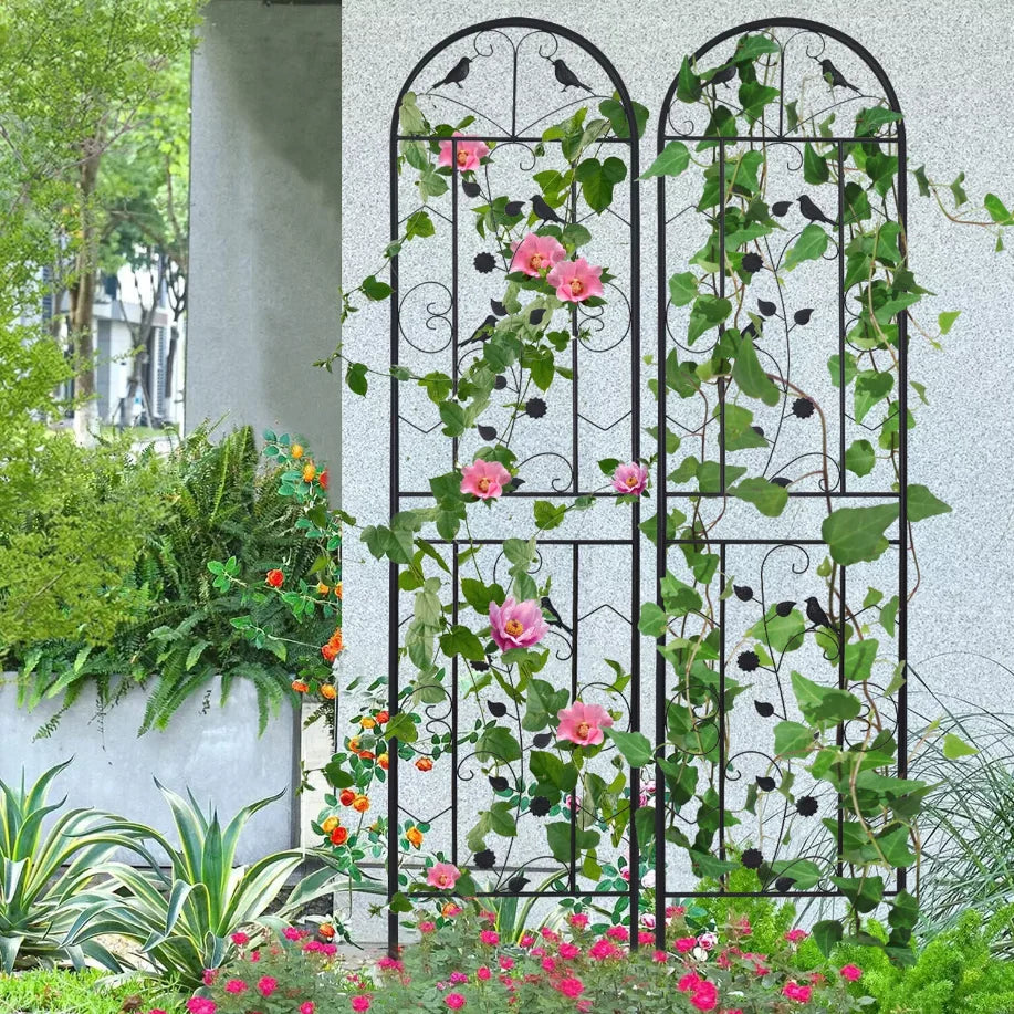 Feature 2 Pack Garden Trellis For Climbing Plants